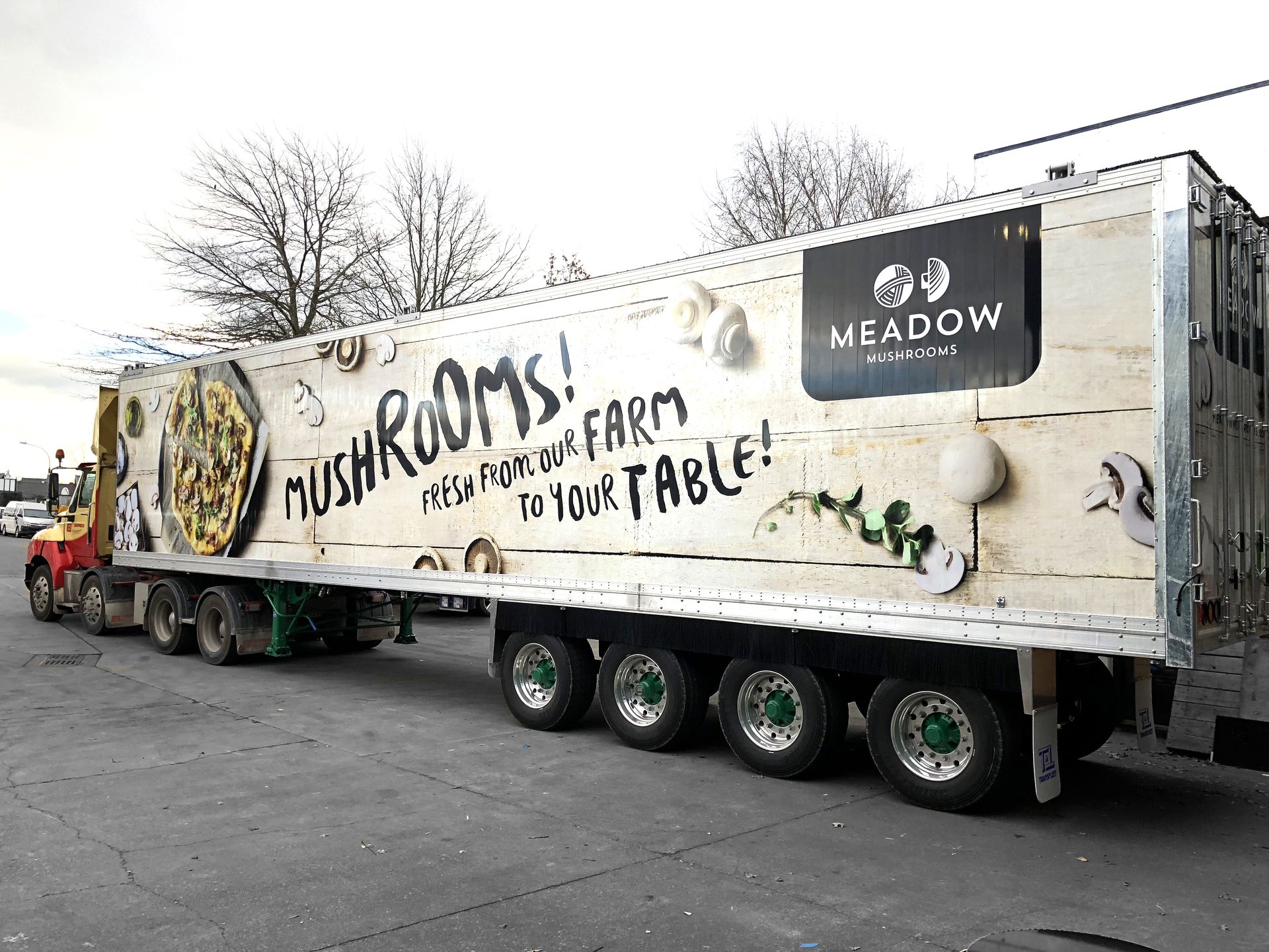 Full truck panel branding for Meadow Mushrooms