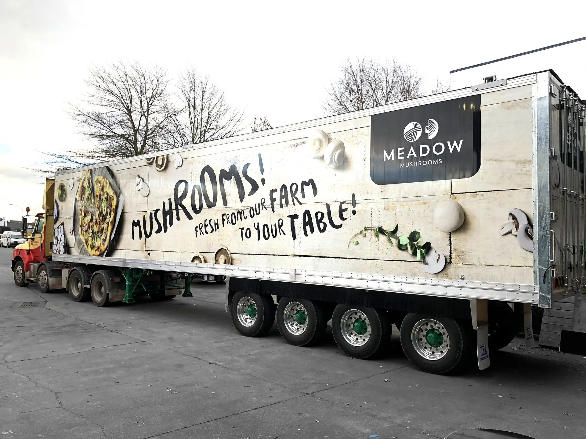 Truck branding for Meadow Mushrooms